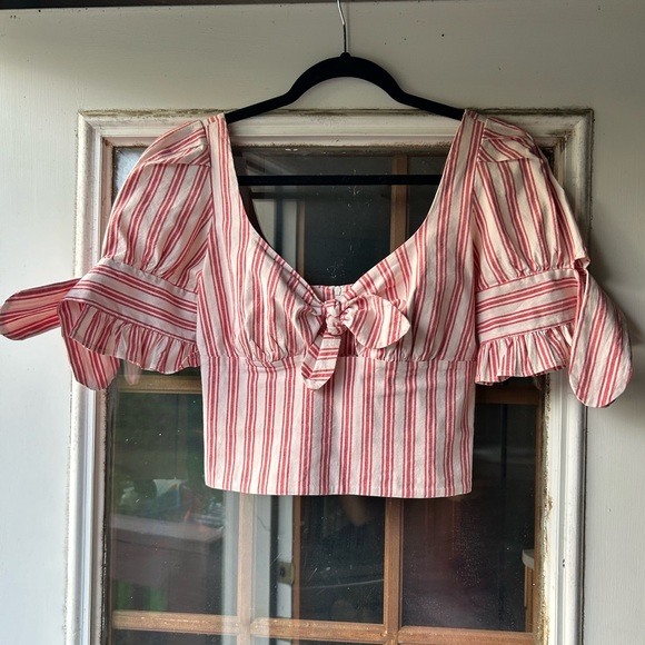 Stone Cold Fox Carlo crop 2 - Picture 5 of 7